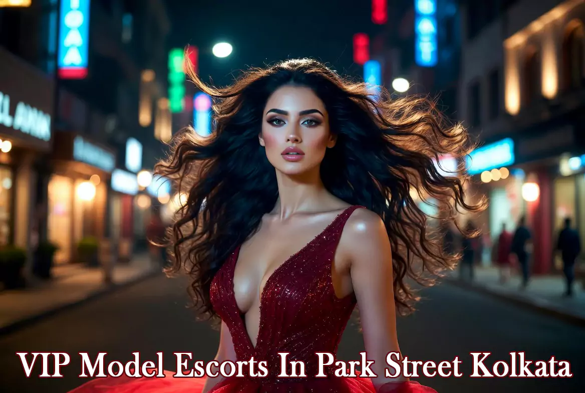 VIP Model Escorts In Park Street Kolkata